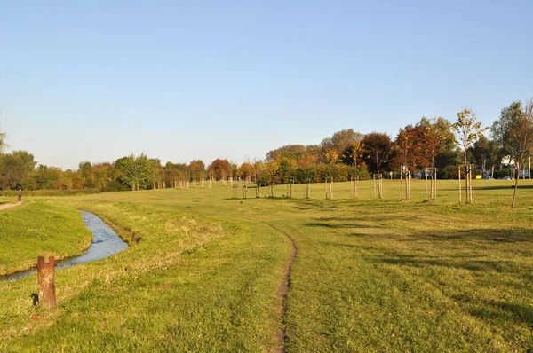 Wiesenrasen Mitten Der Stadt Sonnenbeschienene Wiese Und Bachlauf — Stockfoto