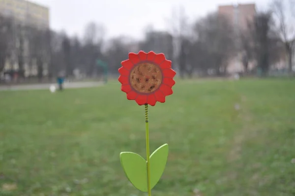 kırmızı ahşap çiçek oyuncağı bir çocuk için yeşil yapraklar ve bir pınar