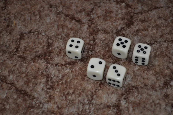 Белые Кости Играют Коричневом Ковре Пять — стоковое фото