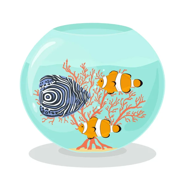 Aquarium with tropical exotic fishes and coral — Stock Vector