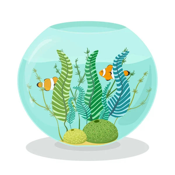 Аквариум Рыбами Клоунами Кораллами Водорослями Плоском Стиле Векторная Иллюстрация Плавающих — стоковый вектор