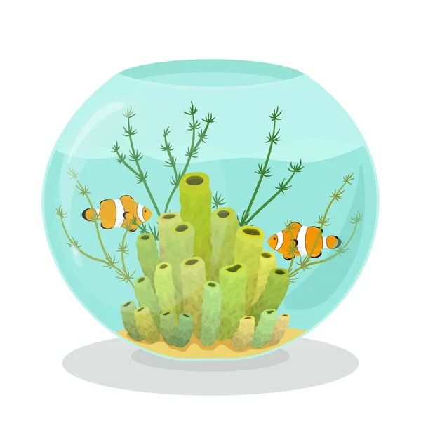 Aquário com peixes palhaços, corais e algas —  Vetores de Stock