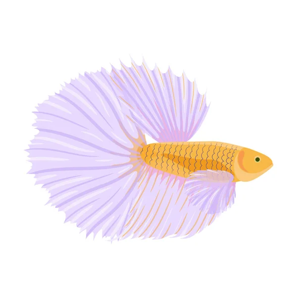 Fighting Siamese Fish Vector Illustration Isolated White Background Cartoon Betta — Stock Vector