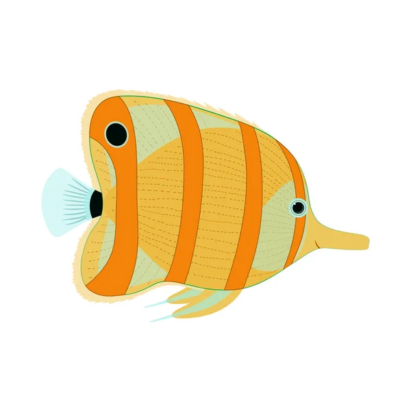 Ilustração Desenhos Animados Peixes Exóticos Isolados Fundo Branco Imagem Desenhada —  Vetores de Stock