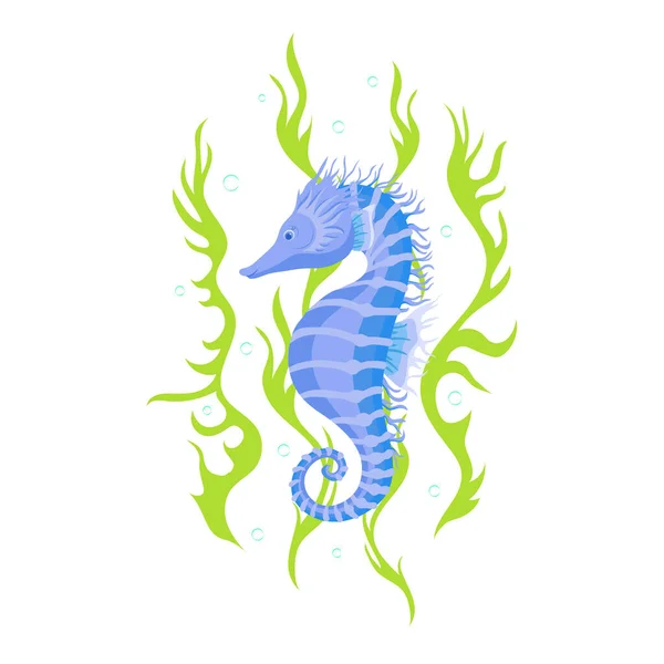 Seahorse Algae Vector Cartoon Illustration Isolated White Background — Stock Vector
