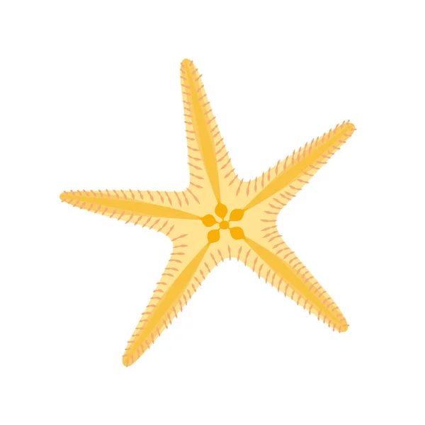 Ilustración Plana Estrellas Mar Aislada Sobre Fondo Blanco Dibujos Animados — Vector de stock