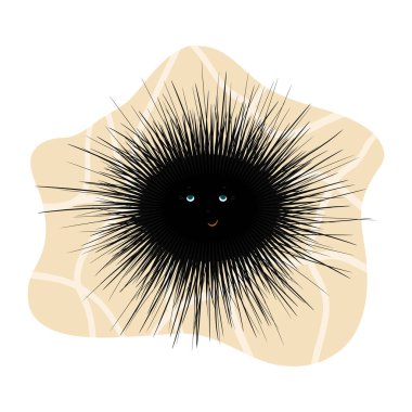 Deniz kestanesi karikatürü beyaz arka planda izole edilmiş. Kumun üzerindeki su altı yaratığı çizgi filmi..