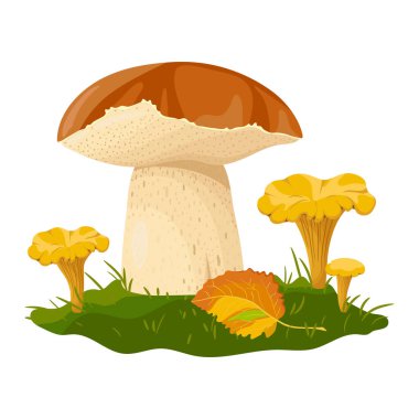 Mantarların elleri renkli çizimler yapıyor. Orman çizimi beyaz arkaplanda izole edildi.