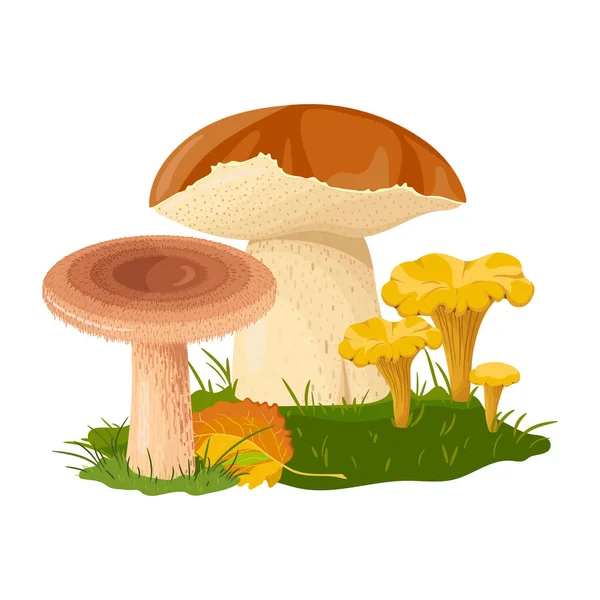 Mantarların elleri renkli çizimler yapıyor. Orman çizimi beyaz arkaplanda izole edildi.