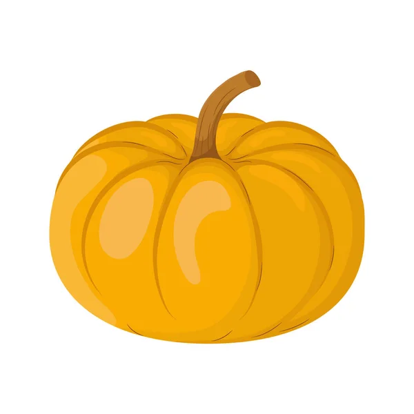 Cartoon Pumpkin Illustration Autumn Seasonal Food Drawing Isolated White Background — Stock Vector