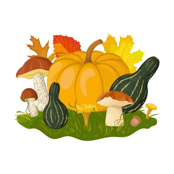 Autumn Harvest Illustration Pumpkins Mushrooms Acorns Leaves Seasonal Food Drawing — Stock Vector