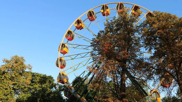 Helder Reuzenrad Een Zomer Zonnig Pretpark Tussen Bomen Tegen Een — Stockfoto