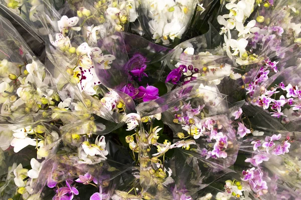 Güzel Çiçek demetleri