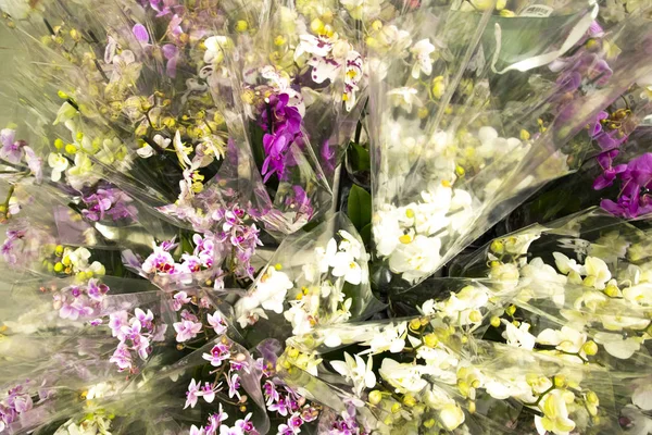 Güzel Çiçek demetleri