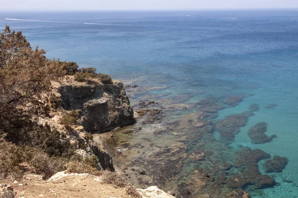 plaj ve mercan resifi görünümü  