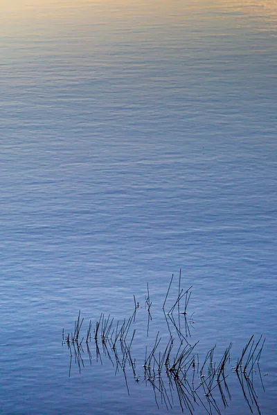 Reflexões Juncos Pôr Sol Água Calma Loch Ilha North Uist — Fotografia de Stock