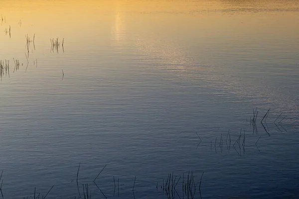 Reflexões Juncos Pôr Sol Água Calma Loch Ilha North Uist — Fotografia de Stock