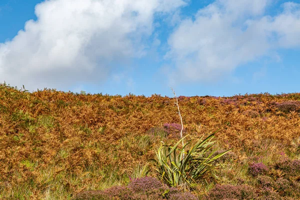 Herfst Kleuren Het Platteland Het Hebridese Eiland Noord Uist — Stockfoto