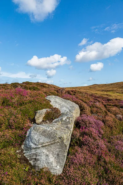 Ein Stein Aus Dem Steinkreis Pobull Fhinn Auf Der Hebrideninsel — Stockfoto