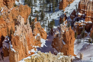 Güneşli bir kış gününde Bryce Kanyonu 'nda ilham veren karlı kaya oluşumlarına bakıyorum.