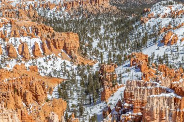 Kış boyunca Utah 'taki karlı Bryce Kanyonu' na bakıyorum.