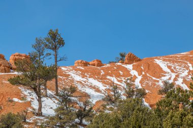 Güneşli bir kış gününde Utah Red Canyon 'daki kızıl kaya oluşumlarına bakıyorum.