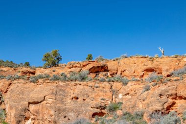 Utah 'ta mavi gökyüzüne bakan kırmızı kayalara bakıyorum.