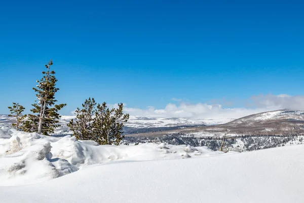 雪に覆われたユタ州の風景を眺めながら 青い空が頭上に — ストック写真