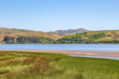 Güneşli bir yaz gününde Kaliforniya 'da Point Reyes yakınlarındaki Tomale Körfezi' ne bakıyorum.
