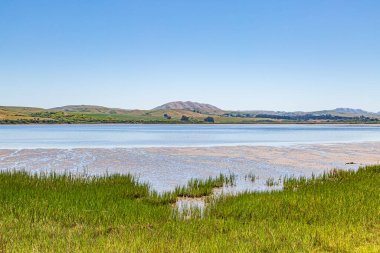 Güneşli bir yaz gününde Kaliforniya 'da Point Reyes yakınlarındaki Tomale Körfezi' ne bakıyorum.