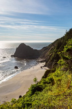 Güneşli bir yaz gününde, Nesika Sahili 'nde Oregon kıyılarına bakıyorum.