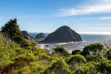 Oregon kıyı manzarası güneşli bir yaz gününde Sisters Rock State Park yakınlarında.