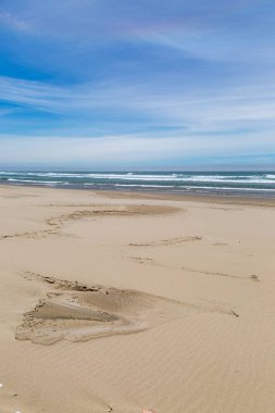 Oregon sahilindeki kumlu bir sahilden denize bakıyorum.