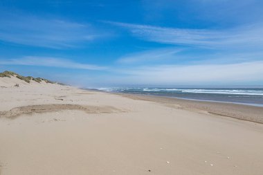 Oregon Kumulları Ulusal Eğlence Bölgesi 'nde geniş bir kumsala bakıyorum.