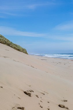 Oregon sahilinde kumlu bir sahil, güneşli bir yaz gününde.