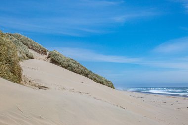 Oregon sahilinde kumlu bir sahil, güneşli bir yaz gününde.