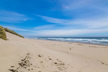 Oregon sahilinde kumlu bir sahil, güneşli bir yaz gününde.