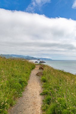 A coastal pathway in Oregon, with a view of Cannon beach in the distance clipart