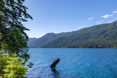 Olimpiyat Ulusal Parkı 'nda güneşli bir yaz gününde Hilal Gölü' ne bakıyorum.