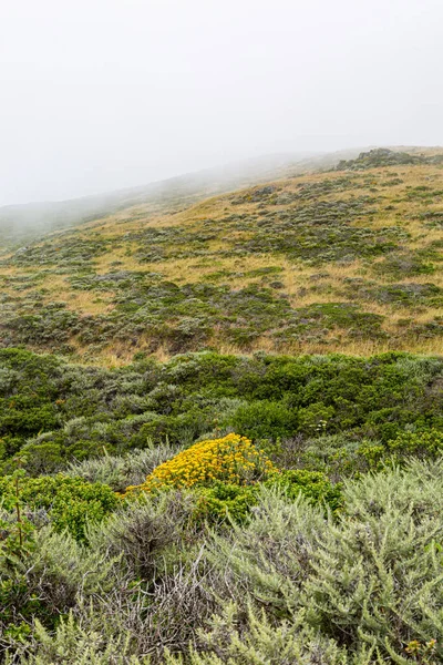 Nad Kopci Poblíž Point Reyes Valí Mořská Mlha — Stock fotografie