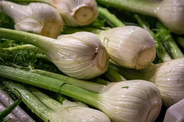 Eine Nahaufnahme Von Fenchelzwiebeln Auf Einem Marktstand Mit Geringer Schärfentiefe — Stockfoto