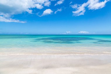 Antigua adasındaki sakin kumlu bir sahilden denize bakıyorum.