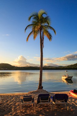 Palmiye ağaçlı bir Antiguan Günbatımı