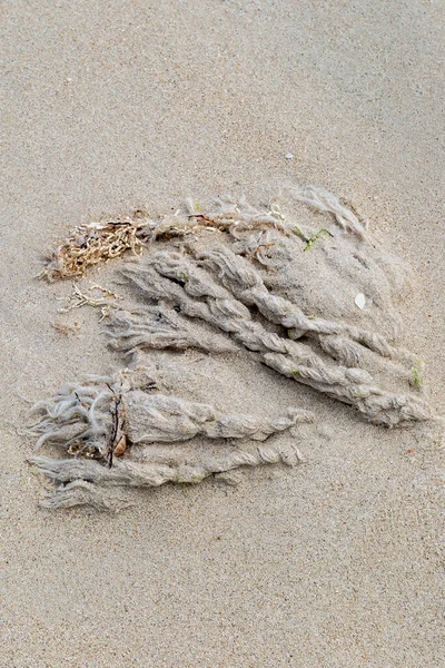 Frayed rope buried in the sand on a beach in Antigua