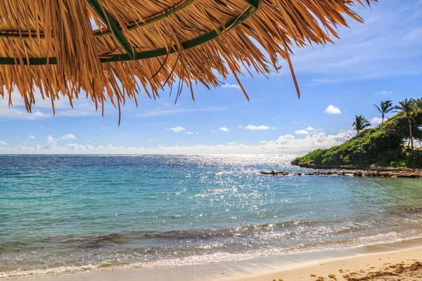 Vista Desde Debajo Una Sombrilla Una Idílica Playa Caribeña — Foto de Stock