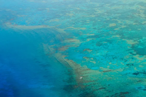 上から見たサンゴ礁 ロイヤリティフリーのストック画像