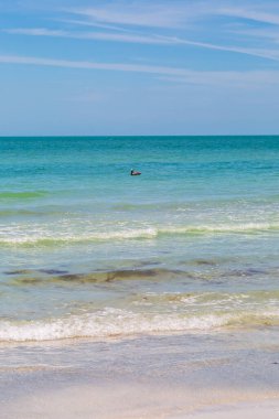 Florida 'daki Redington Sahilleri' nden denize bakıyorum. Suda bir pelikan var.