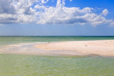 Florida 'daki Balayı Adası Eyalet Parkı' nda beyaz kum