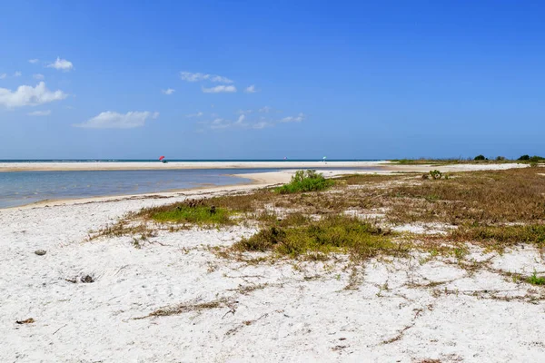 Plage Honeymoon Island Soignée Tampa Floride — Photo
