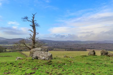 Çıplak ağaç ve kayaları olan bir Cumbrian manzarası
